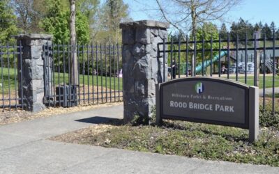 DYBO Summer Kickoff Picnic